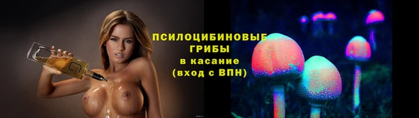 apvp Богородск