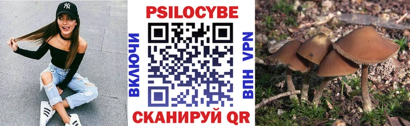 Псилоцибиновые грибы Magic Shrooms  магазин продажи наркотиков  Волгореченск 